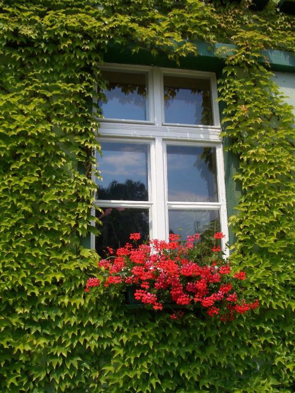3 Sterne Hotel Frankfurt-Oder Zur Alten Oder Frankfurt  Exterior foto